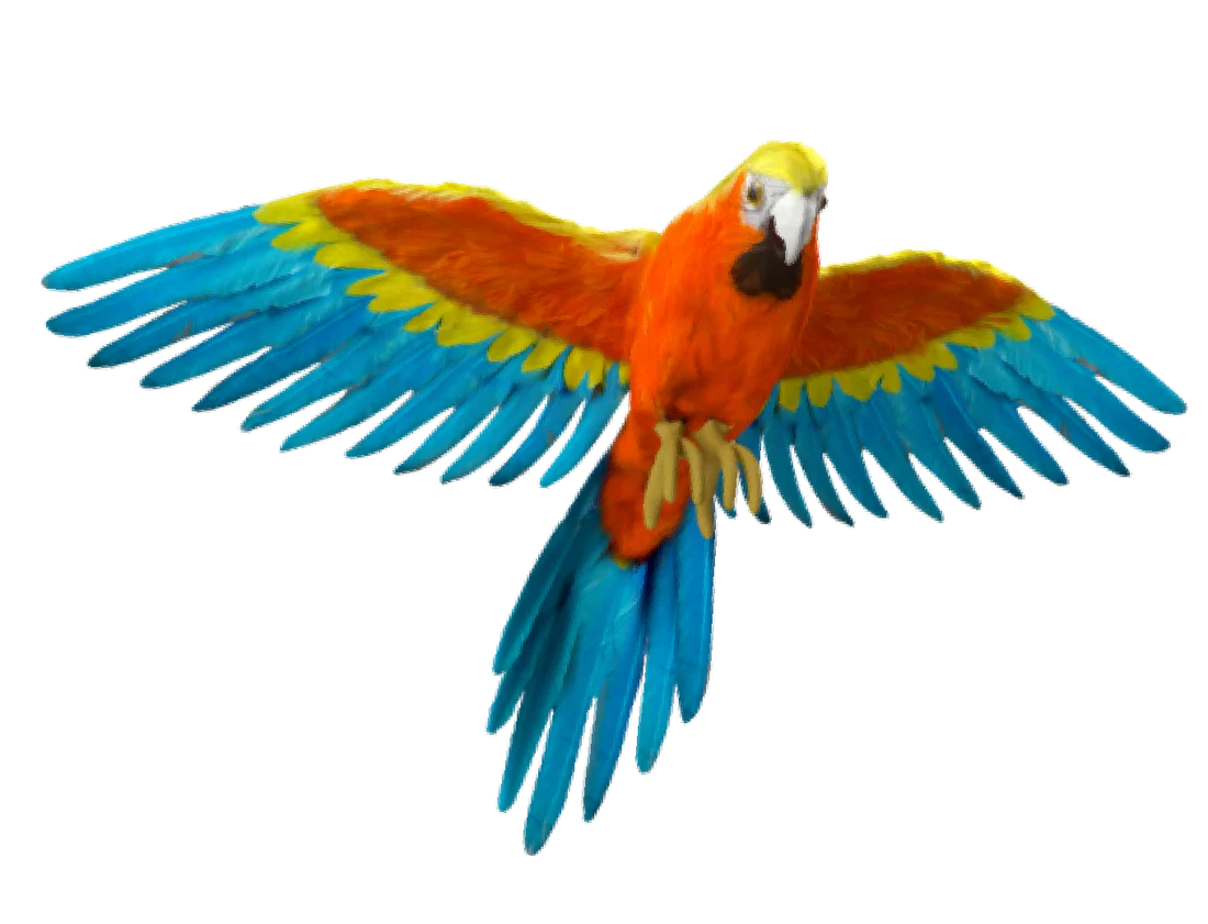 colorful model cases