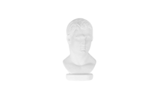 Sample Bust