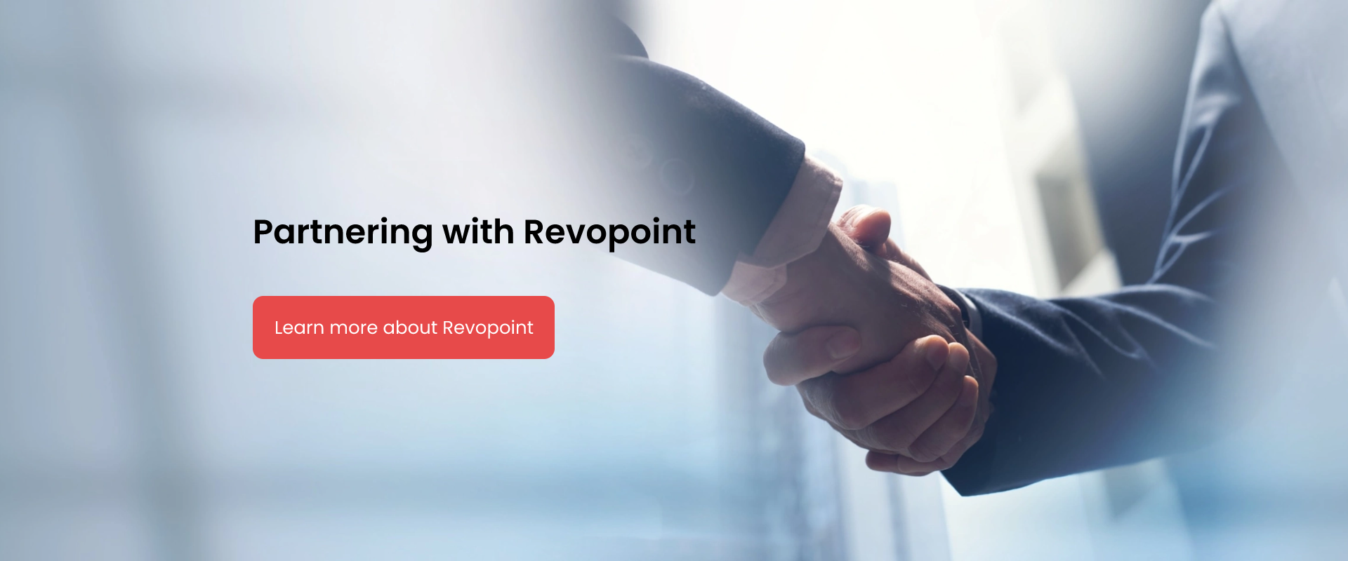 Revopoint Store Image