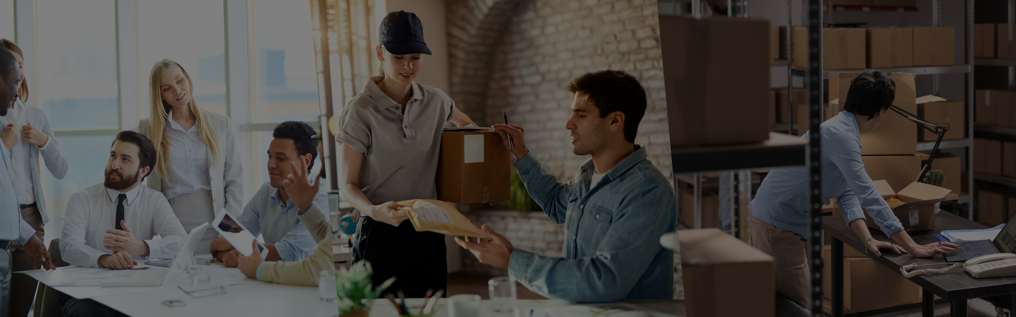 Revopoint Store Image