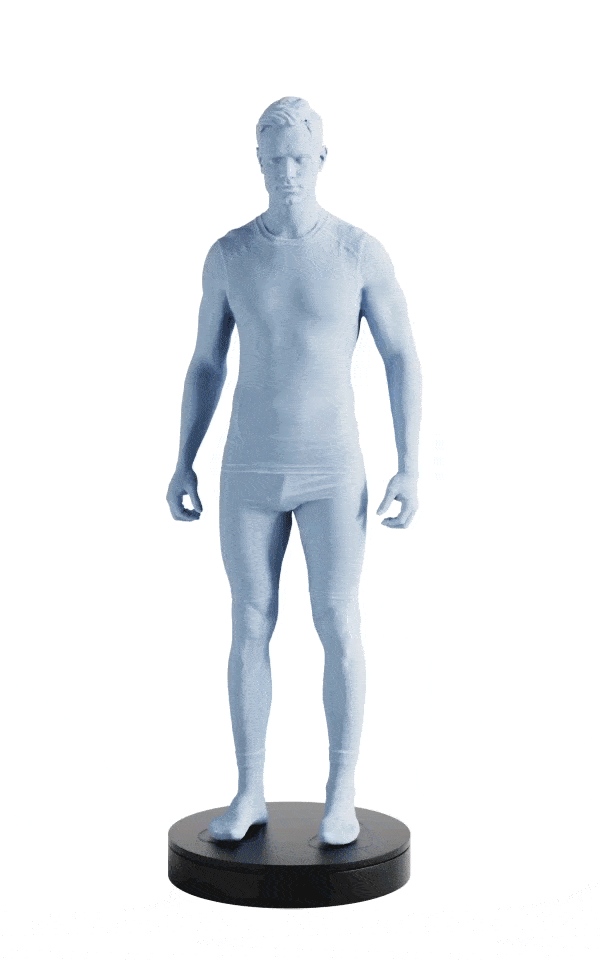 3D Model