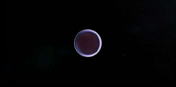Revopoint Store Image