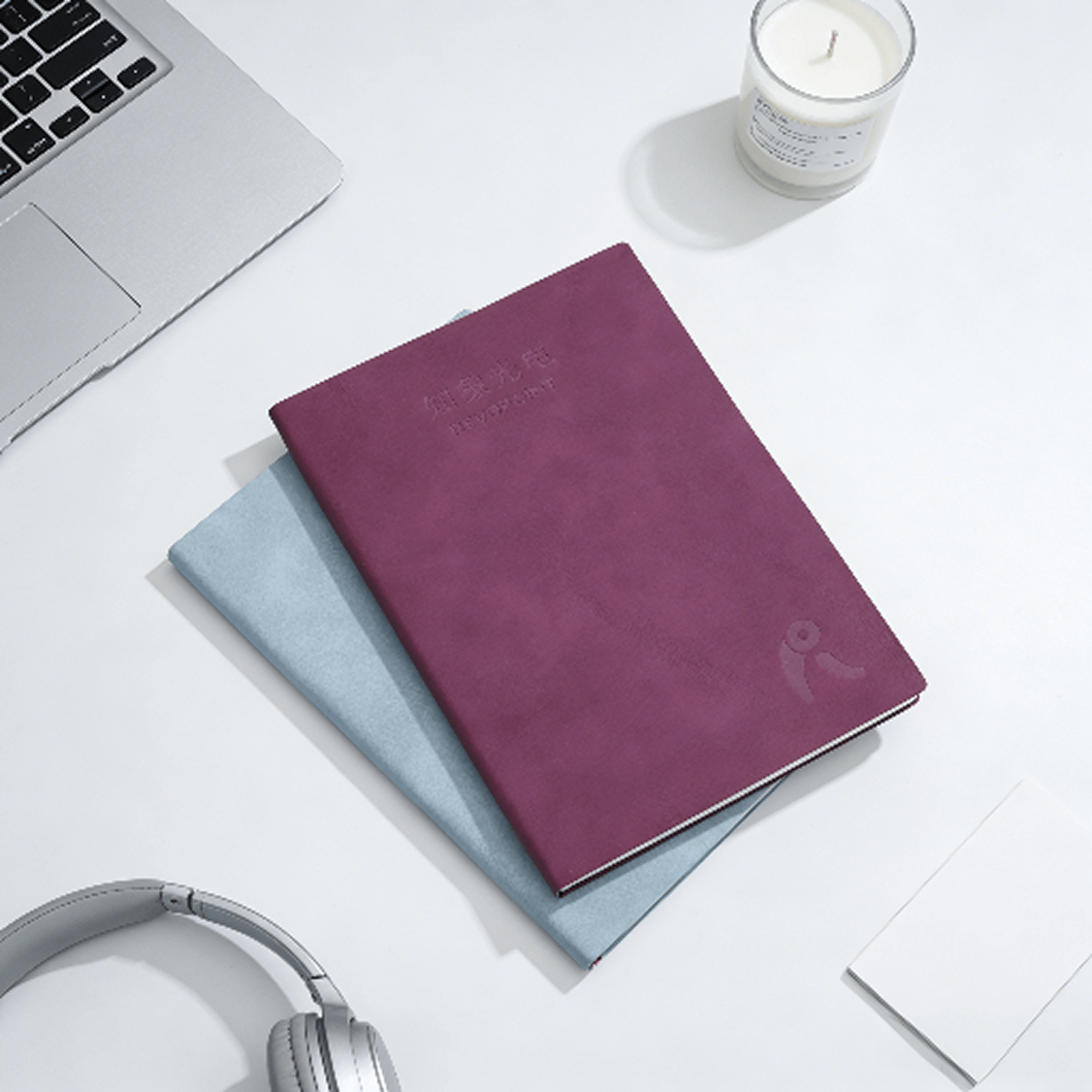 Revopoint Notebook