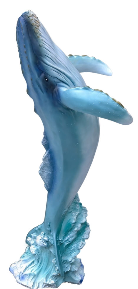 pop4-scroll-2.png